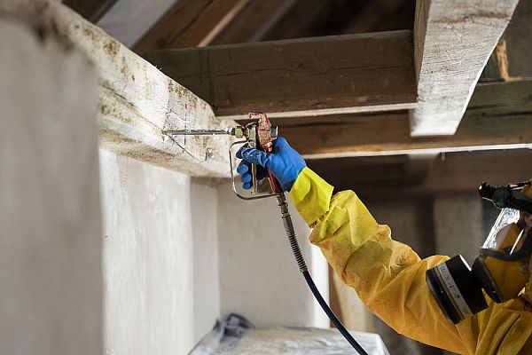 Xilix gel vs. Serpol – porovnání gelových emulzí pro sanaci a chemickou ochranu dřeva