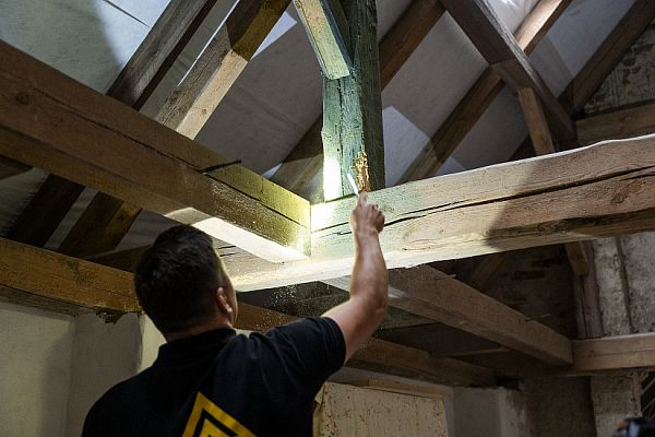 Ochrana dřeva proti škůdcům – nejúčinnější metody a řešení, jak zabránit poškození