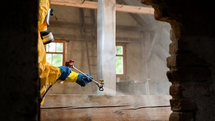 Běžné přípravky vs. profesionální přípravky proti dřevokazům – proč k ochraně a sanaci dřeva využít služeb Chytrých Střech
