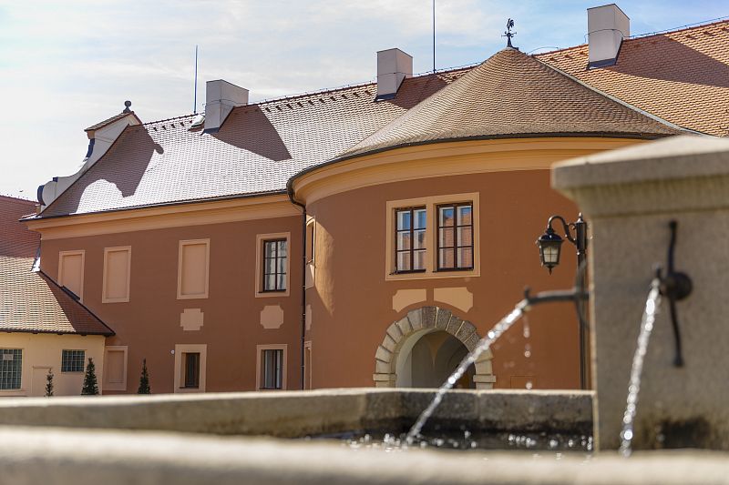 Sanace krovu a likvidace dřevokazného hmyzu na zámku Dříteň