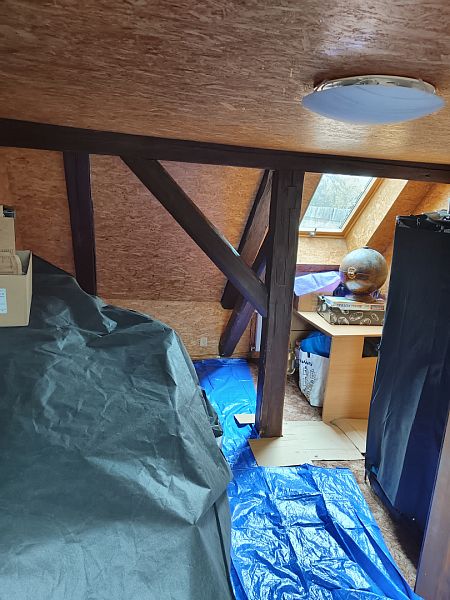 Likvidace dřevokazného hmyzu