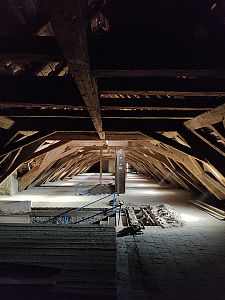 Čištění a sanace krovu nemocnice sv. Alžběty v Praze