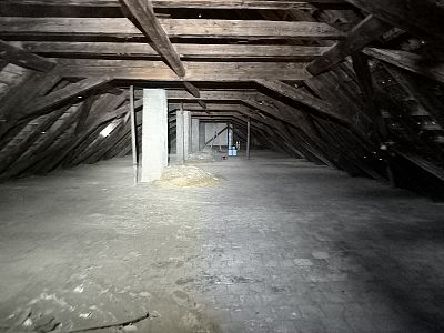 Čištění a sanace krovu nemocnice sv. Alžběty v Praze
