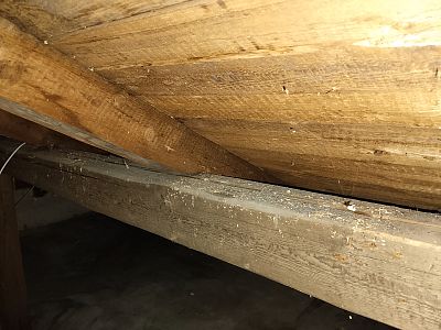 Sanace krovu a likvidace tesaříka krovového v rodinném domě v Mnichovicích