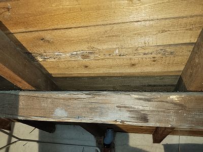 Sanace krovu a likvidace tesaříka krovového v rodinném domě v Mnichovicích