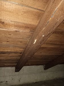 Sanace krovu a likvidace tesaříka krovového v rodinném domě v Mnichovicích