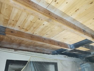 Sanace krovu a stropu chaty napadené dřevokazným hmyzem v Kamenném Přívozu