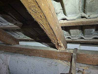 Sanace krovu napadeného tesaříkem krovovým v Nechvalíně