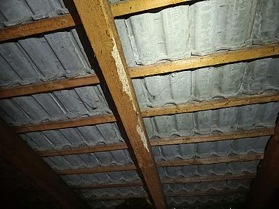 Sanace krovu napadeného tesaříkem krovovým v Nechvalíně