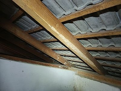 Sanace krovu napadeného tesaříkem krovovým v Nechvalíně