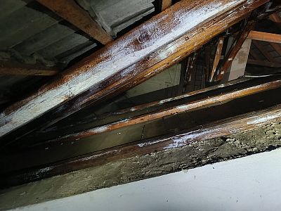 Sanace krovu napadeného tesaříkem krovovým v Nechvalíně