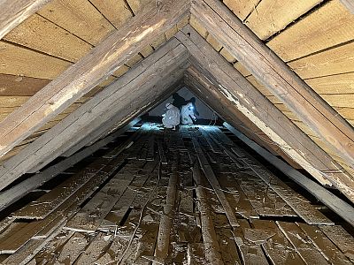 Sanace krovu proti dřevokaznému hmyzu