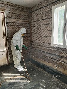 Sanace roubenky napadené dřevokazným hmyzem v obci Srní