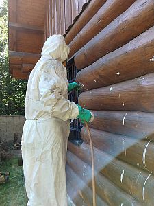 Sanace srubu napadeného tesaříkem krovovým v Soběšovicích