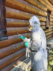 Sanace srubu napadeného tesaříkem krovovým v Soběšovicích