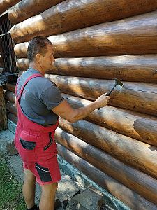 Sanace srubu napadeného tesaříkem krovovým v Soběšovicích