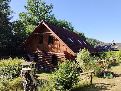 Sanace srubu napadeného tesaříkem krovovým v Soběšovicích